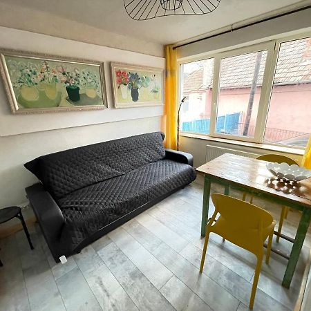 Art Apartments Govora Cluj Exteriör bild